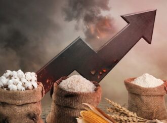 যুদ্ধ-খরায় অস্থির কৃষিপণ্যের বাজার, চাল-গম-তুলার দাম ঊর্ধ্বমুখী