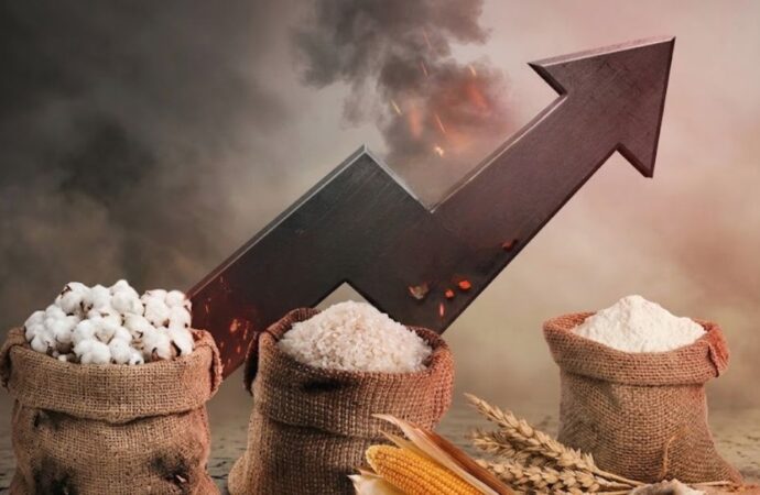 যুদ্ধ-খরায় অস্থির কৃষিপণ্যের বাজার, চাল-গম-তুলার দাম ঊর্ধ্বমুখী