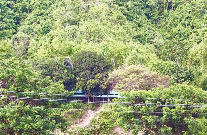 পাহাড়ের ছায়ায় অপহরণের বিভীষিকায় জিম্মি জনপদ