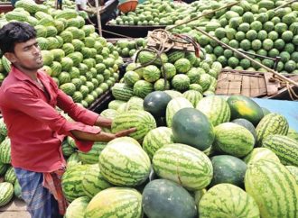 তরমুজের কেজি ১০০ টাকা!