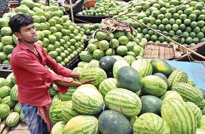 তরমুজের কেজি ১০০ টাকা!